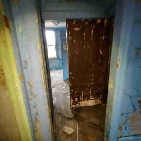 8031 conger (35).jpg